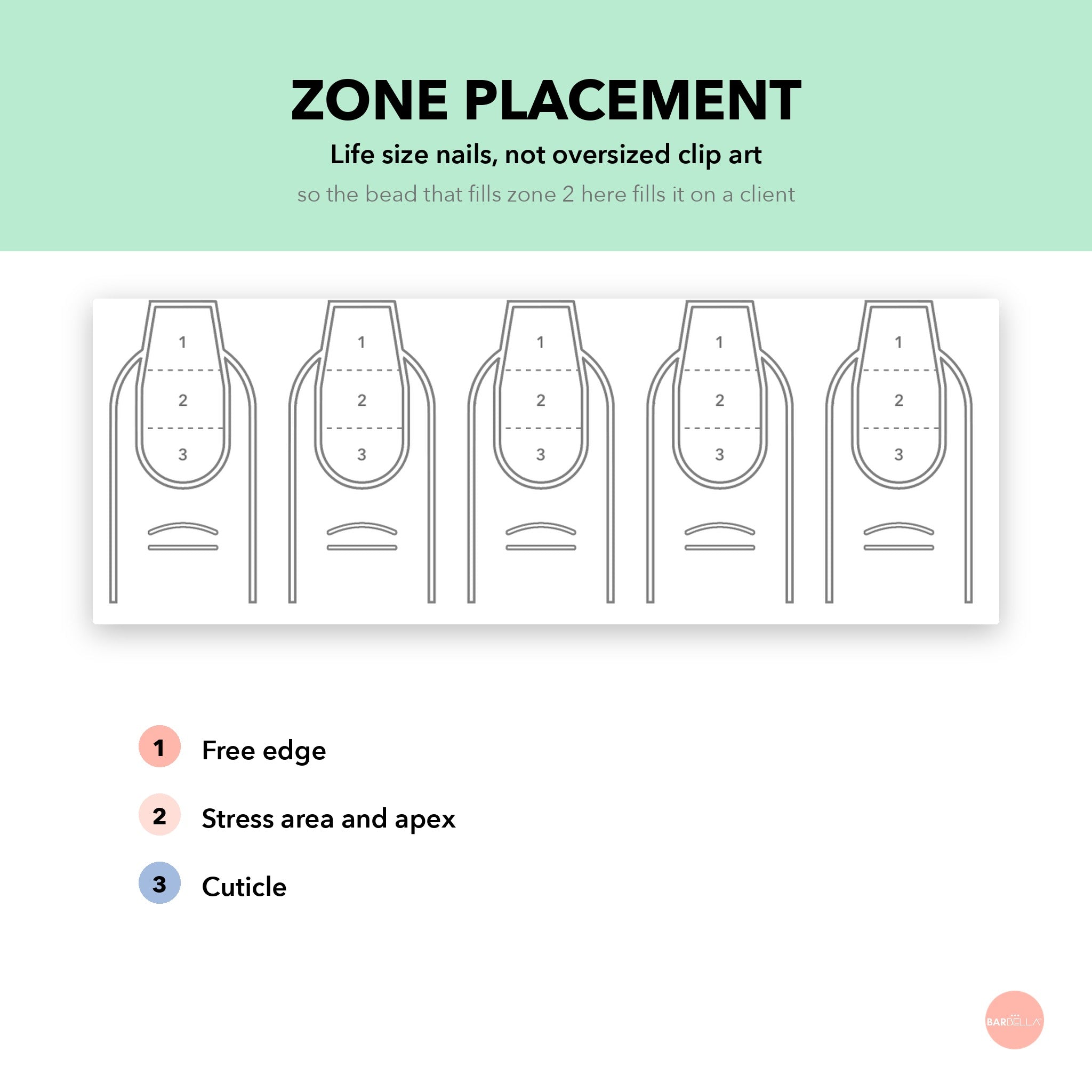 Life size nail outlines with zone 1 free edge, zone 2 apex and zone 3 cuticle for bead placement